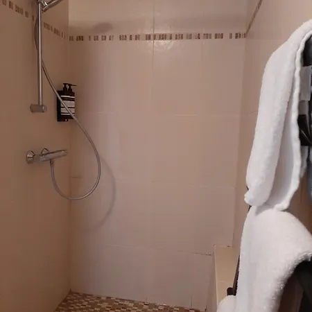 Apartamento Panda Parc Proche Pairi Daiza-shape-nato *