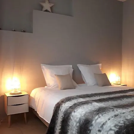 Panda Parc Proche Pairi Daiza-shape-nato * Lens