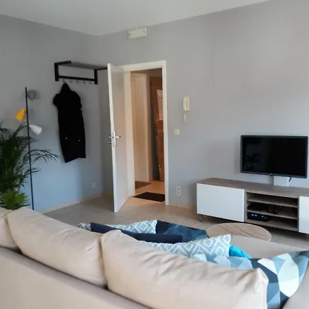 Panda Parc Proche Pairi Daiza-shape-nato